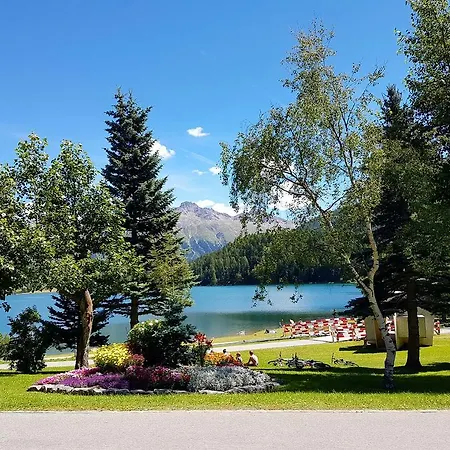 Meschihouse - Chesa Engadina Samedan